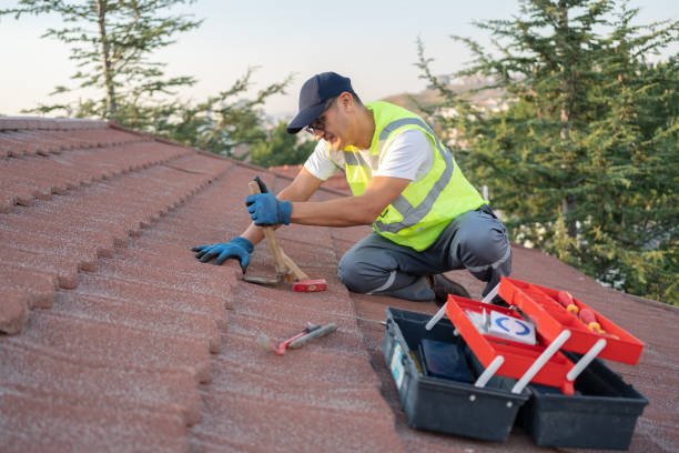 Best Metal Roofing Contractor  in Roanoke, IN