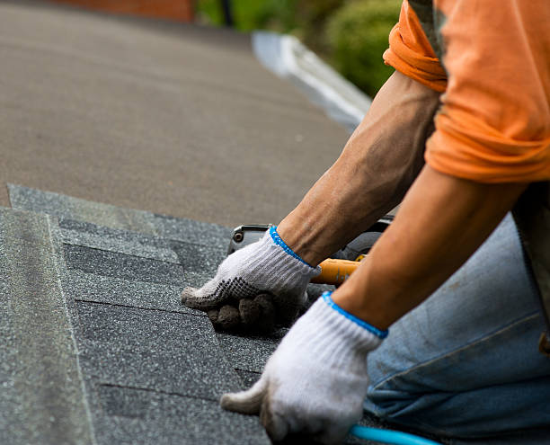 Best Residential Roofing Contractor  in Roanoke, IN