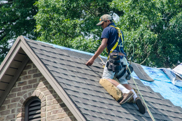 Best Roof Leak Repair  in Roanoke, IN